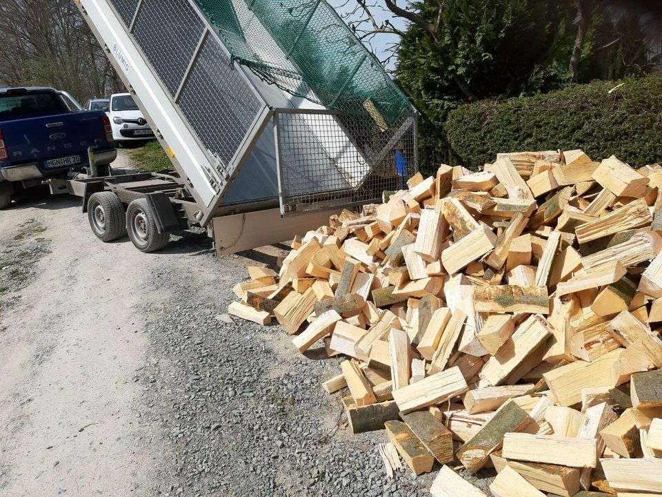 brennholz niederösterreich