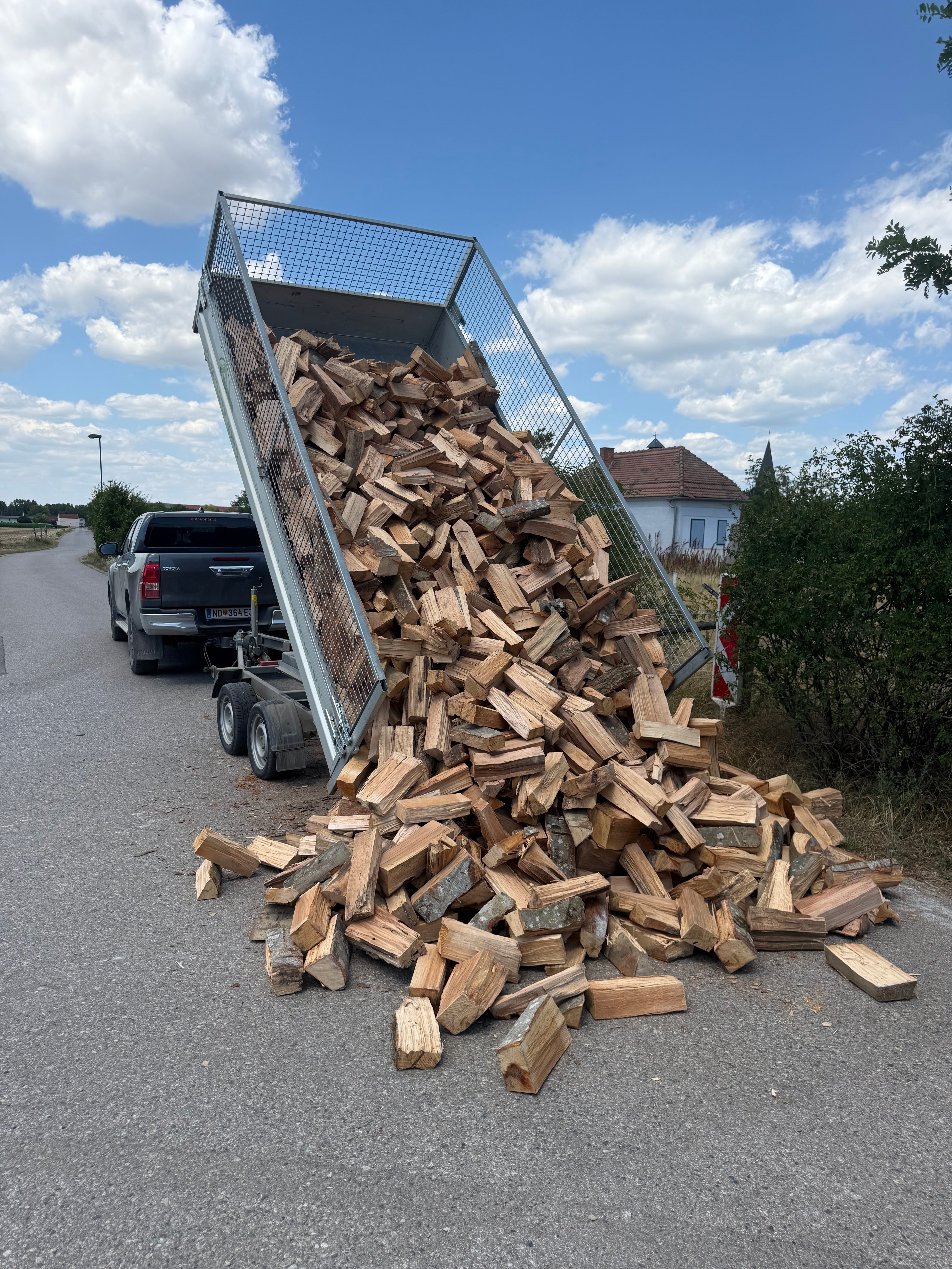 Brennholz Schüttraummeter Buche - Trocken