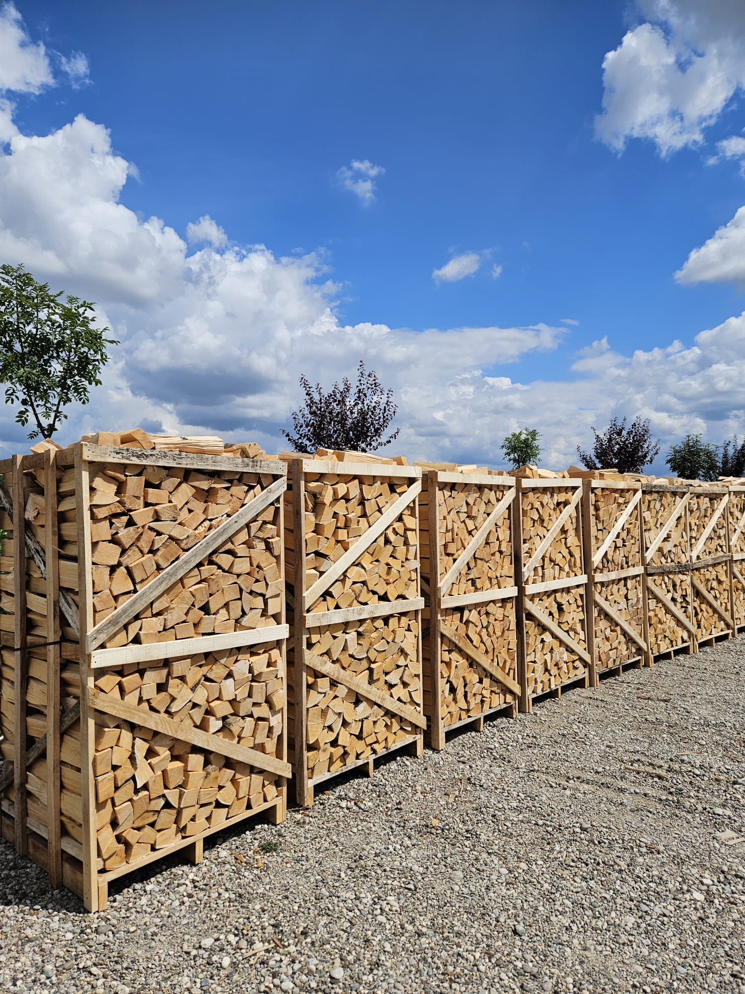 6 Stück Brennholz Palette Halbtrocken - PREMIUM QUALITÄT - 1,9 Raummeter Buche - Lagerabverkauf