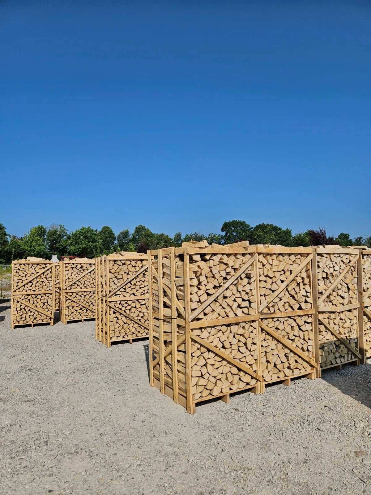 6 Stück Brennholz Palette Halbtrocken - PREMIUM QUALITÄT - 1,9 Raummeter Buche - Lagerabverkauf