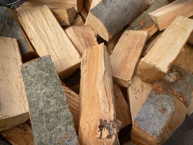 brennholz preis
